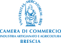 logo_CAMCOM